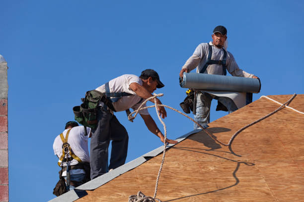 Professional Roofing Contractor in Lakeport, CA