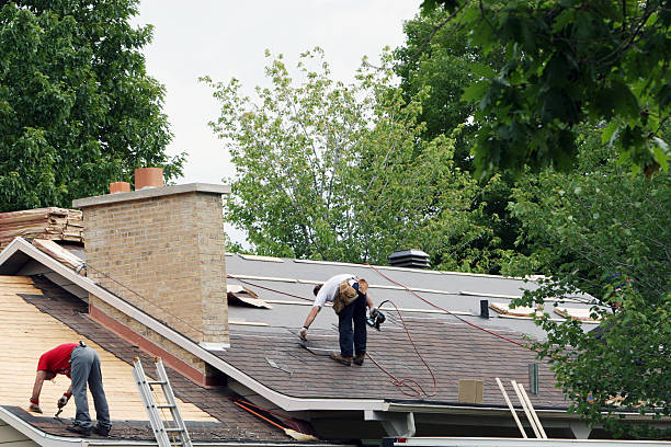 Best Roof Gutter Cleaning  in Lakeport, CA